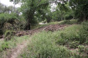 Shady Trail Flood  Debris