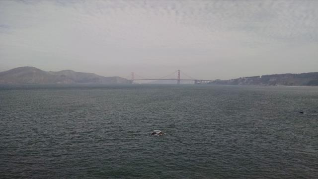 Golden Gate
