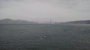 Golden Gate