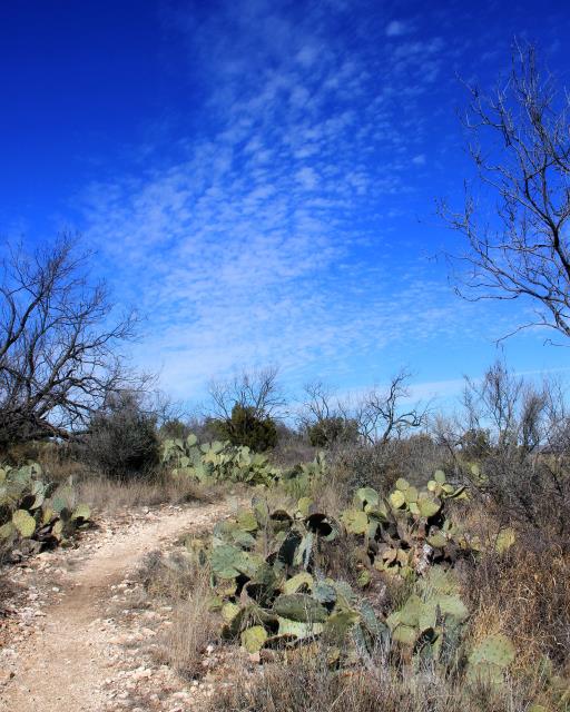 Scenery on the Trail