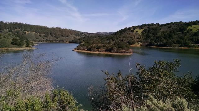 Live Oak Island