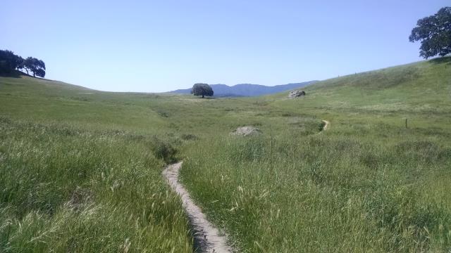 Trail View