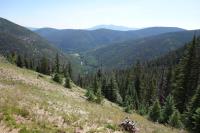 Red River Canyon Overlook
