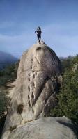 To the top
