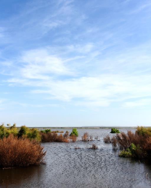O.C. Fisher Reservoir has some Water!