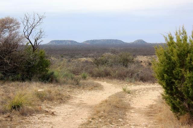 Looking West on Rollercoaster Trail