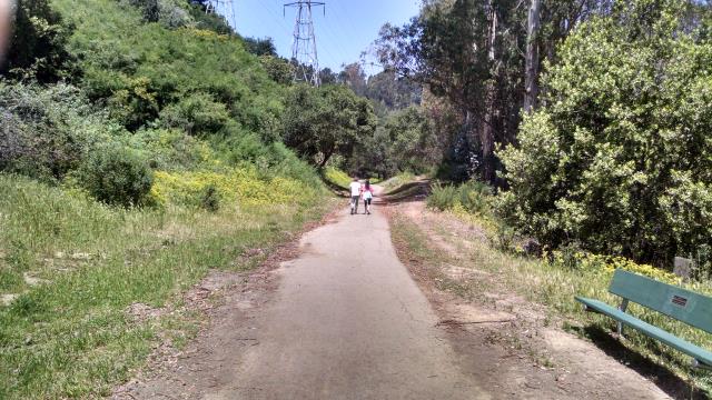 Sunny Trail