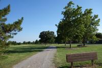View Of The Trail