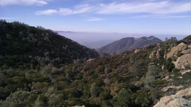 Sentinel View