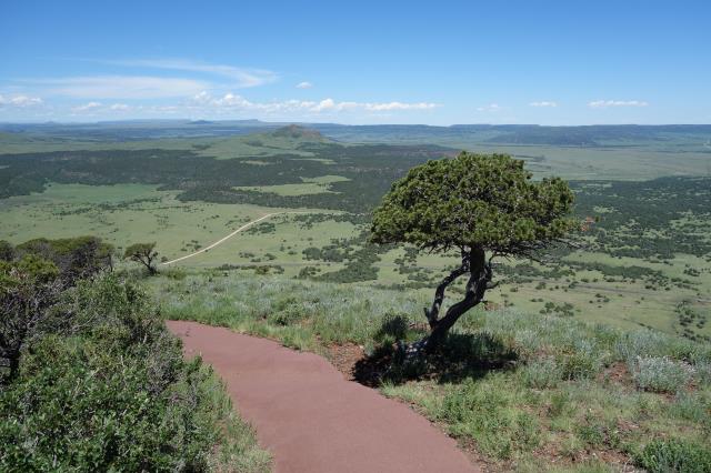 View Of The Trail