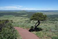 View Of The Trail