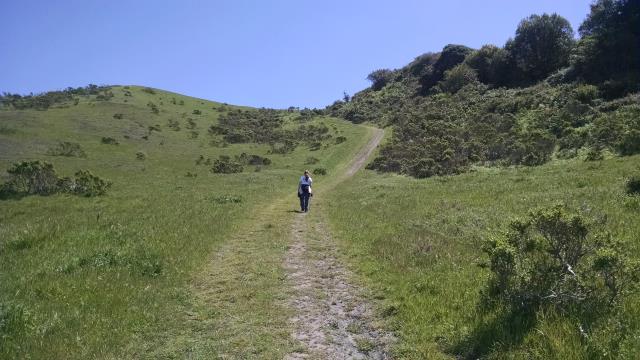 Steep