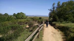 Towards the shore