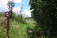 View Of The Trail
