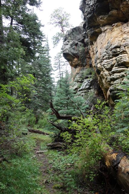Another View Of The Blackjack Trail