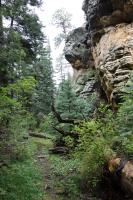 Another View Of The Blackjack Trail