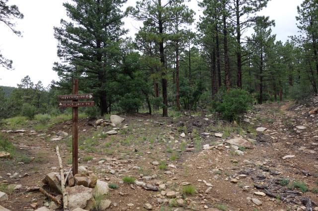 Blackjack/Maverick Trail Fork