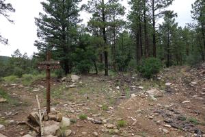 Blackjack/Maverick Trail Fork