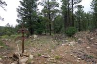 Blackjack/Maverick Trail Fork