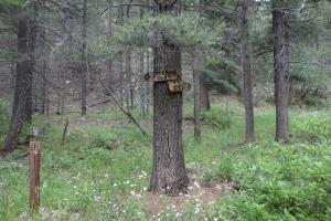 Upper/Lower Trail Fork