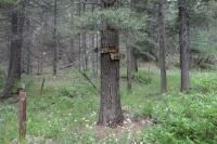 Upper/Lower Trail Fork