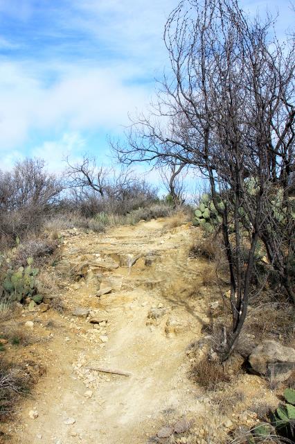 On the Trail