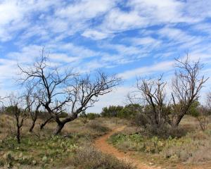 Badlands Trail