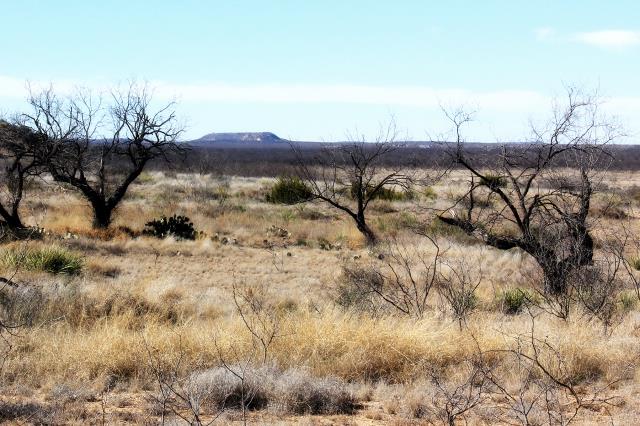 Looking North from Burkett Park