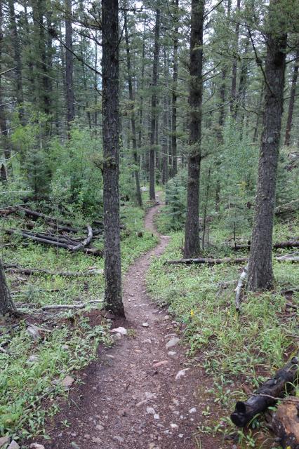 Another View Of The Trail