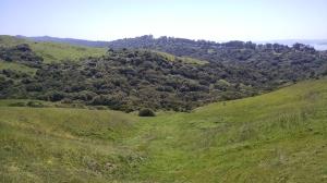 Wildcat Canyon