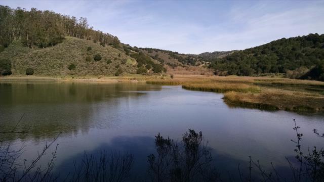 Honker Bay