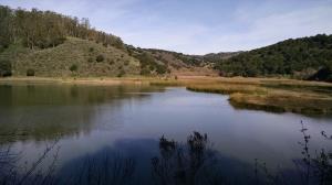 Honker Bay