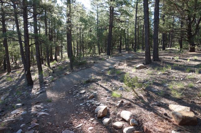 Another View Of The Trail