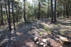 Another View Of The Trail