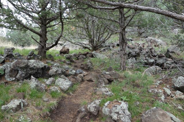 Another View Of The Trail