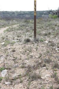 Rattler by the Signpost