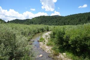 Coyote Creek
