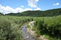 Coyote Creek