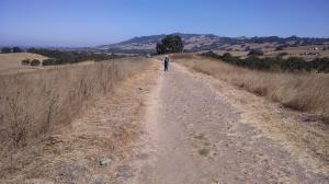 Trail View