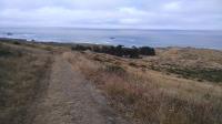 Ocean view