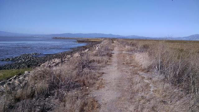 San Pablo Bay