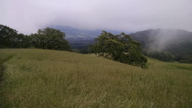 Summit view