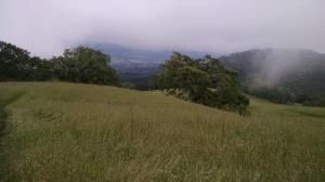 Summit view