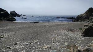Stillwater Cove