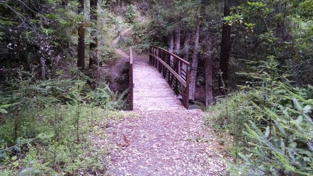 Bridge