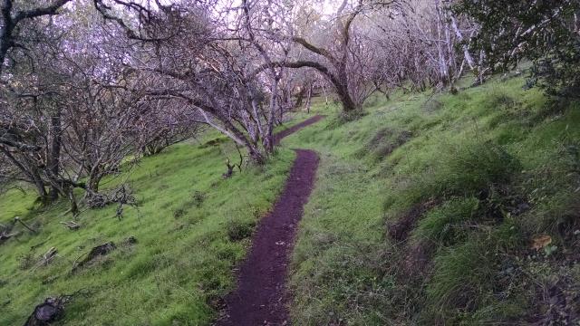 Trail View