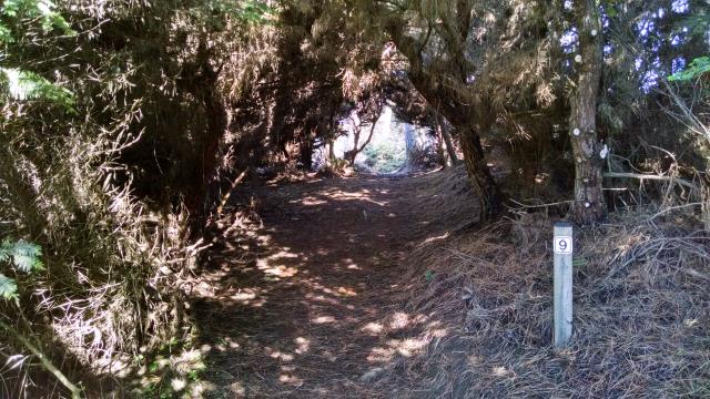Interpretive trail marker