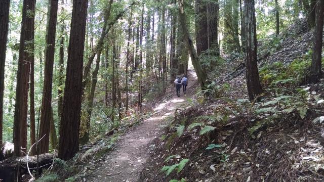Trail View