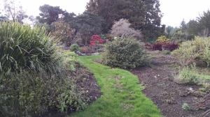 Plants galore