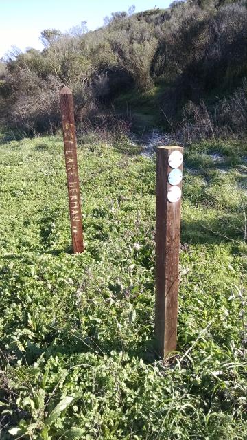 Trail markers